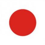 RHINO CEO HONOURED BY JAPANESE GOVERNMENT