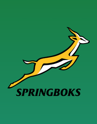 South Africa Rugby Ball Collection